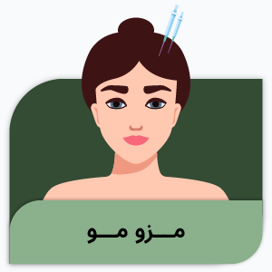مزو مو